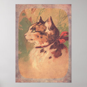 Kat Poster