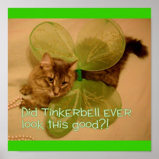 Kat poster (Voorkant)