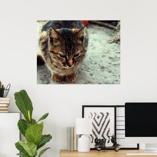 Kat Poster (Thuiskantoor)