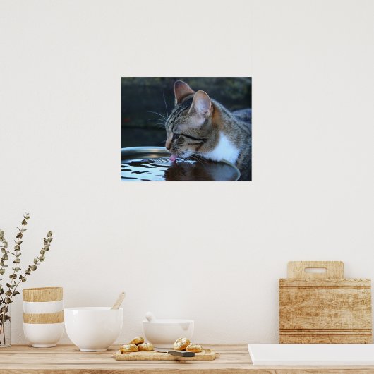 Kat Poster (Keuken)