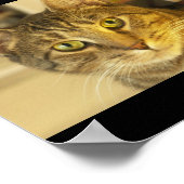 Kat Poster (Hoek)