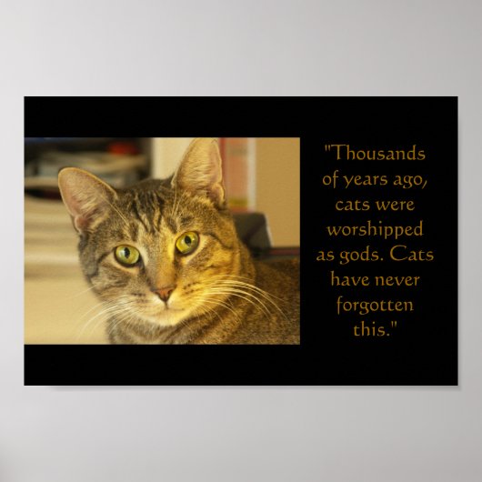 Kat Poster (Voorkant)