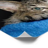 kat-poster poster (Hoek)