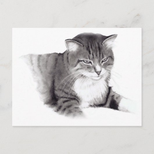Kat: potloodtekening: Oorspronkelijke illustratie Briefkaart (Voorkant)