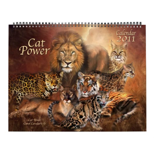 Kat Power 2011-agenda Kalender (Hoes)