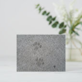 Kat Prints Briefkaart (Staand voorkant)