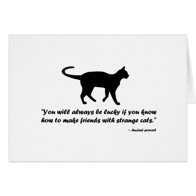 Kat Proverb (Voorkant Horizontaal)