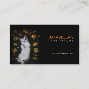 Kat Rescue Slogans Visitekaartjes