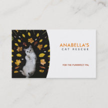 Kat Rescue Slogans Visitekaartjes