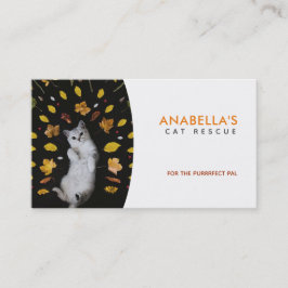 Kat Rescue Slogans Visitekaartjes