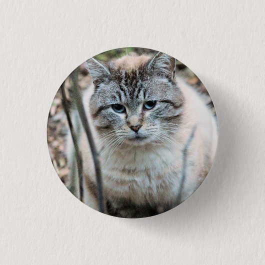 Kat Ronde Button 3,2 Cm (Voorkant)