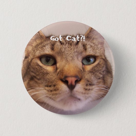 Kat Ronde Button 5,7 Cm (Voorkant)