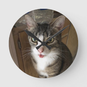 Kat Ronde Klok