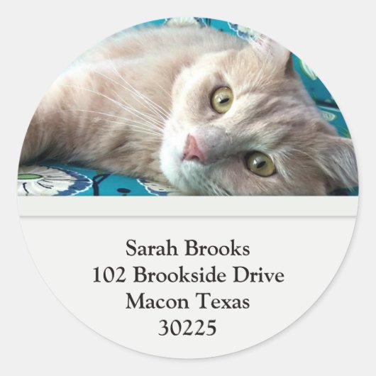  Kat Ronde Sticker (Voorkant)