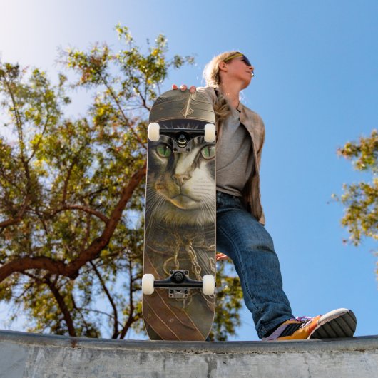 Kat Samurai. Skateboard (Buiten 1)