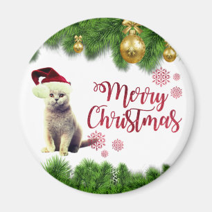 Kat, Santa Hat, kerstballen Magneet