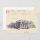 Kat Schets Gold en Roze  Briefkaart (Voorkant / Achterkant)