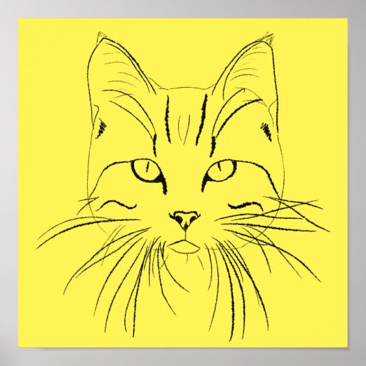 Kat-schets -  kleur poster (Voorkant)