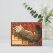 KAT-SCHIJNEN  BRIEFKAART (Staand voorkant)