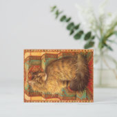 KAT-SCHIJNEN BRIEFKAART (Staand voorkant)