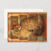 KAT-SCHIJNEN BRIEFKAART (Voorkant / Achterkant)