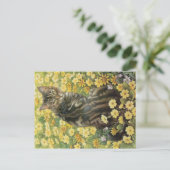 KAT-SCHIJNEN  BRIEFKAART (Staand voorkant)