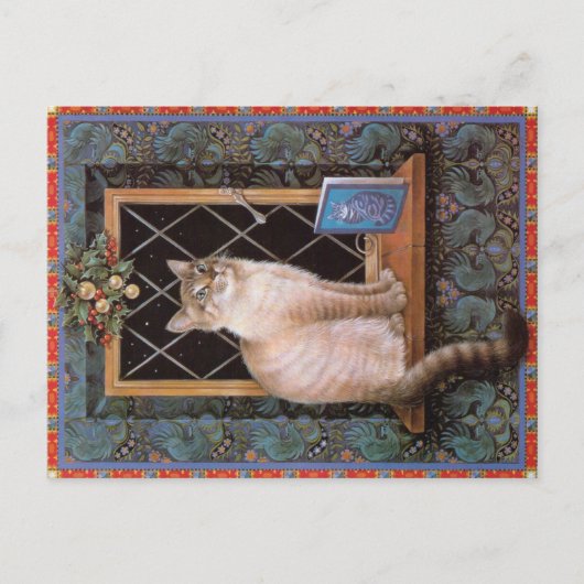 KAT-SCHIJNEN  BRIEFKAART (Voorkant)