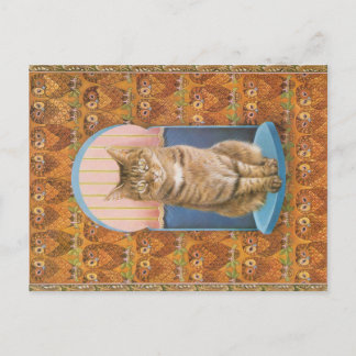 KAT-SCHIJNEN BRIEFKAART