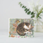 KAT-SCHIJNEN  BRIEFKAART (Staand voorkant)