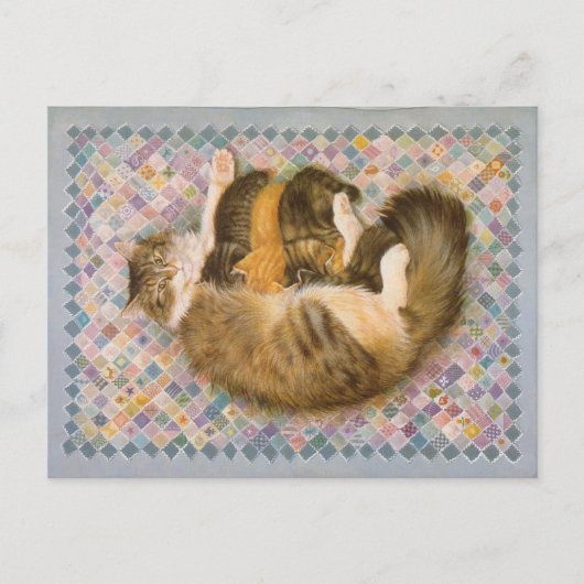 KAT-SCHIJNEN  BRIEFKAART (Voorkant)