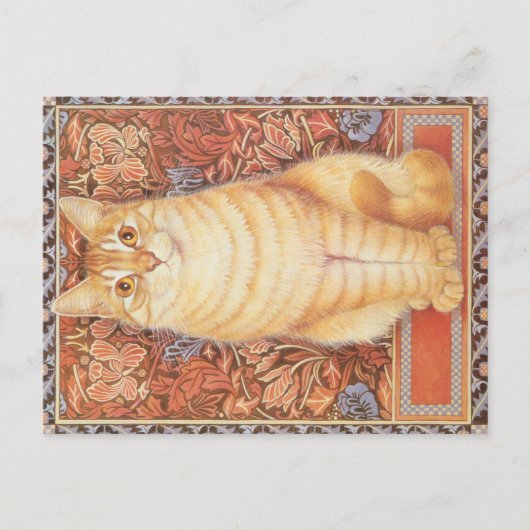 KAT-SCHIJNEN  BRIEFKAART (Voorkant)