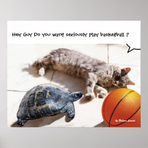 KAT, SCHILDPAD EN BASKETBAL POSTER