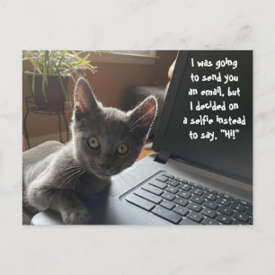 KAT SELFIE HALLO BRIEFKAART