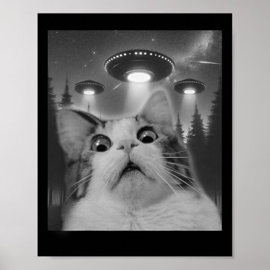 Kat Selfie met UFO's Poster (Voorkant)