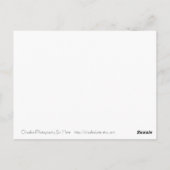 Kat Shop Suey Briefkaart (Achterkant)