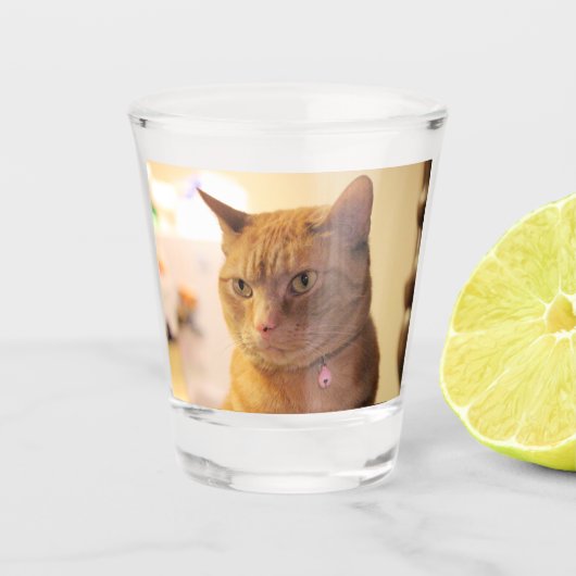 Kat Shot Glas (Voorkant)