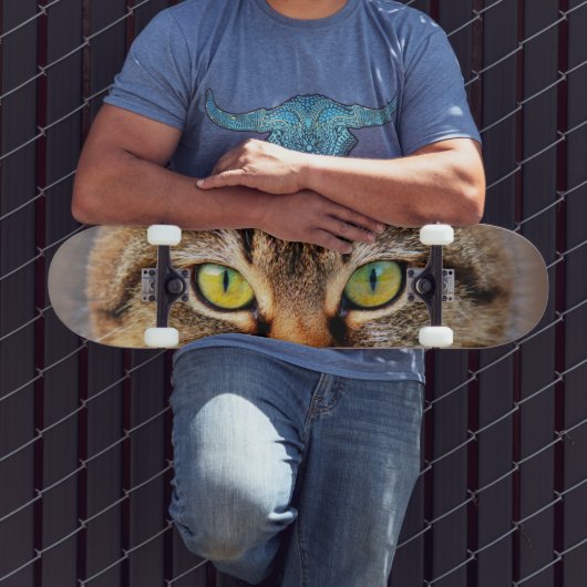 Kat Skateboard (Buiten 3)
