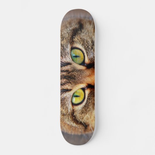 Kat Skateboard (Voorkant)