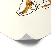 Kat Skeletal Joint Anatomeea Veterinary Chart Poster (Hoek)