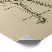 Kat Skeleton Anatomie  Veterinary Print (Hoek)