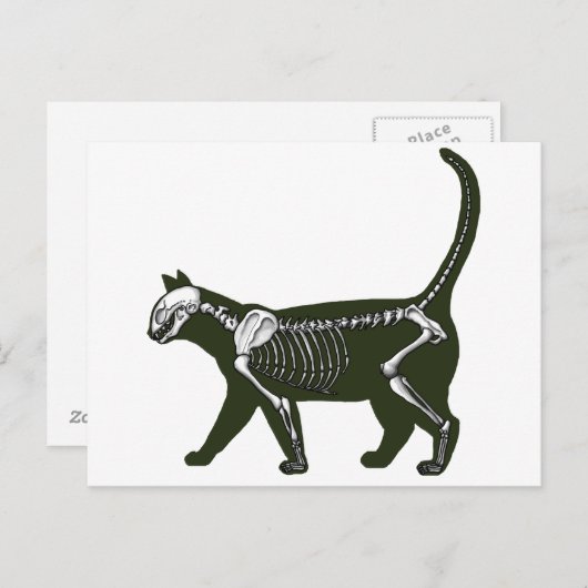 Kat Skeleton Briefkaart (Voorkant / Achterkant)