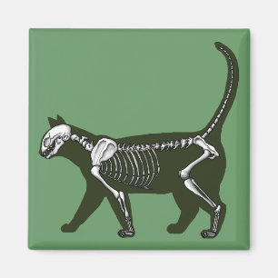 Kat Skeleton Magneet