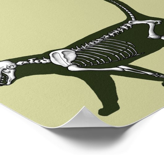 Kat Skeleton Poster (Hoek)