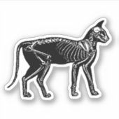 Kat Skeleton Sticker (Voorkant)