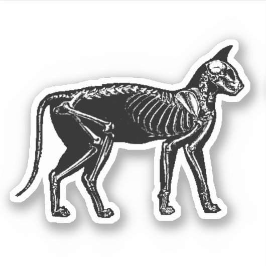 Kat Skeleton Sticker (Voorkant)