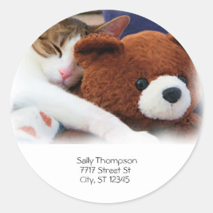 Kat Slaap Teddy Beer Adres Ronde Sticker