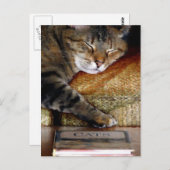 Kat SlaapboekBriefkaart Briefkaart (Voorkant / Achterkant)