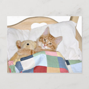 Kat slaapt met Teddy Briefkaart