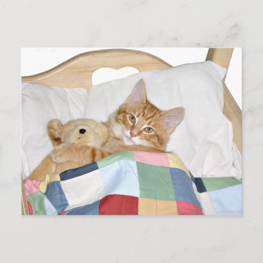 Kat slaapt met Teddy Briefkaart (Voorkant)