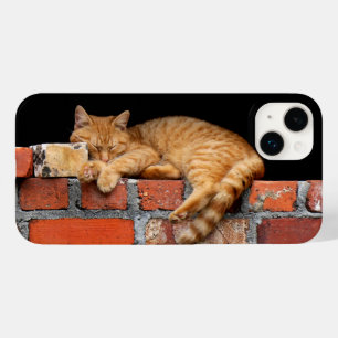 Kat Slapen op de muur Case-Mate iPhone 14 Plus Hoesje